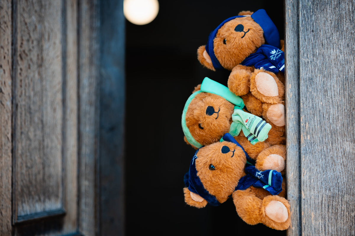 Three small brown teddy bears wearing Blue and Cambridge Blue winter outfits and Rowing Oars peek out from behind a rustic wooden door.