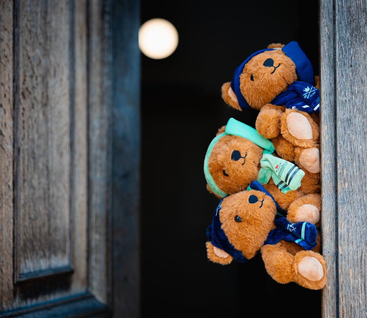 Three small brown teddy bears wearing Oxford blue, Cambridge blue and Navy blue winter outfits peek out from behind a rustic wooden door.